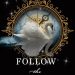 #BookReview: Follow the Stars Home by Diane C. McPhail